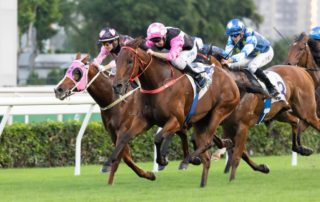 Hong Kong Horse Race